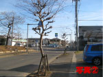 写真②
