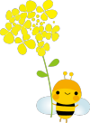 菜の花